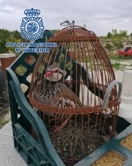 Nota De Prensa Y Fotografía: "La Policía Nacional Ha Esclarecido Un Robo En Un Domicilio Cometido A Principios De Este Año"