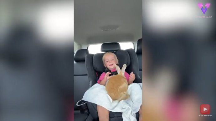 La emotiva reacción de esta niña al ser sorprendida con un conejito como nueva mascota