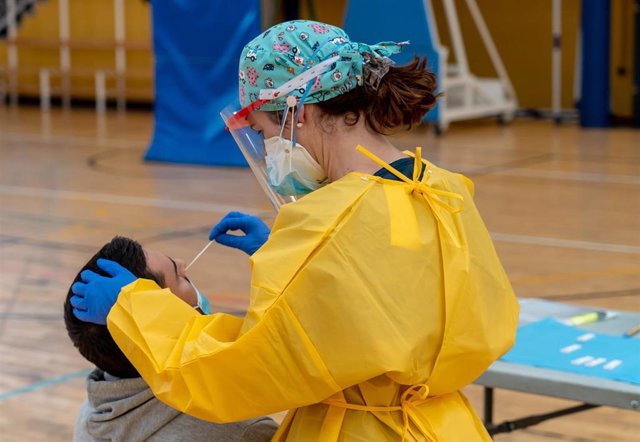 Sanitarios trabajando durante las pruebas de cribado de covid-19 con test de antígenos en el pabellón deportivo de 'El Paraguas'. En Sevilla (Andalucía, España), a 28 de octubre de 2020.