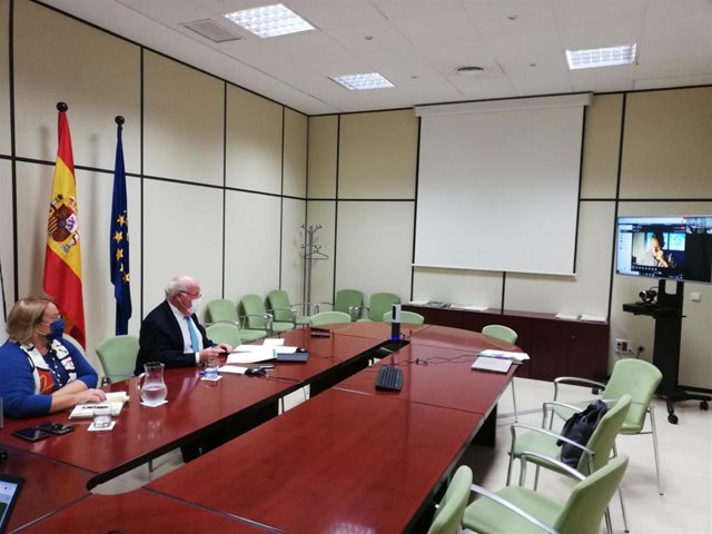 El consejero de Salud, Jesús Aguirre, este lunes durante el encuentro virtual que ha mantenido con los sindicatos.