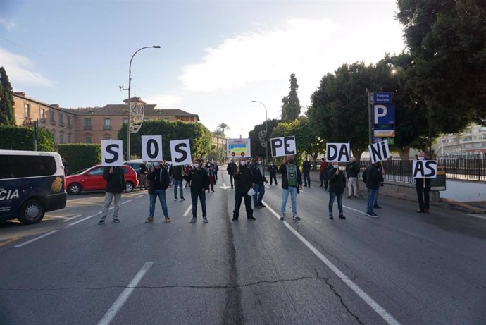 Imagen de los participantes en la manifestación por el transporte público