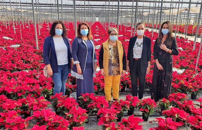 [L Comunicacion.Almeria.Dgob] La Consejera De Agricultura Anima A Comprar Flores De Pascua Andaluzas Para Ayudar A Un Sector Afectador Por La Covid 19 (Consejería De Agricultura, Ganadería, Pesca Y Desarrollo Sostenible)