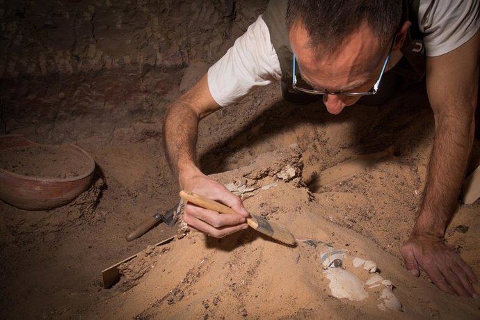 Trabajos arqueológicos en la necrópolis de Qubbet El-Hawa.