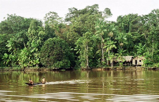 Imagen de archivo de la Amazonía.