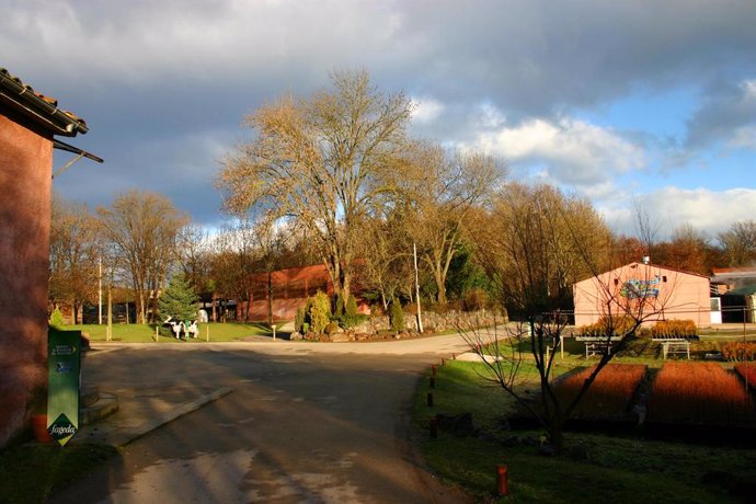 Planta De La Fageda