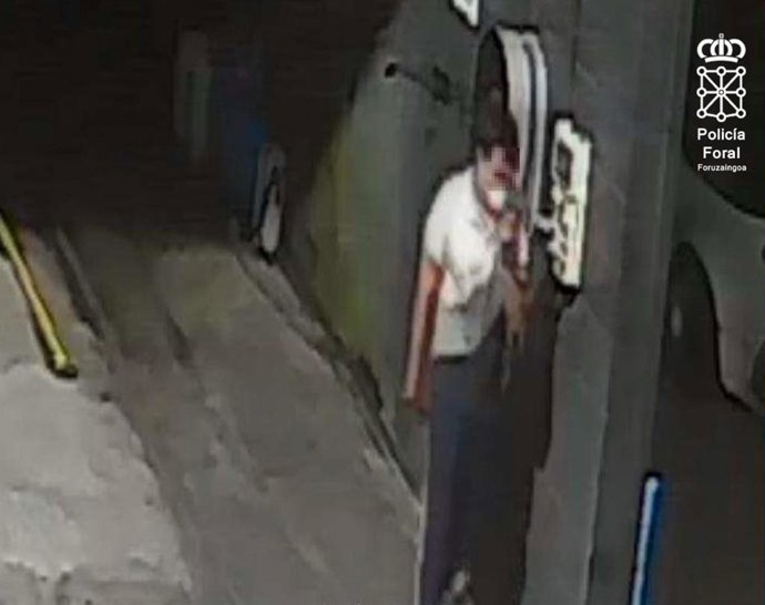 Imagen facilitada por la Policía Foral.