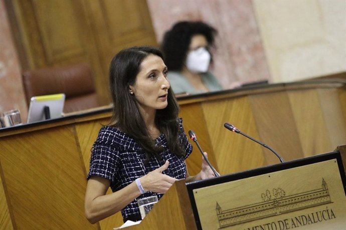 La portavoz adjunta de Ciudadanos (Cs) y portavoz de la Comisión de Empleo, Mónica Moreno, en la tribuna del Parlamento