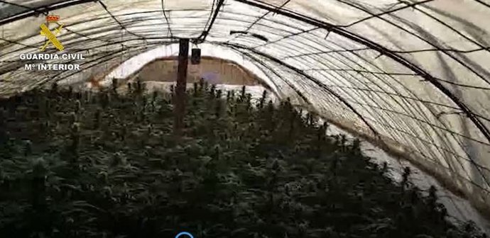 Operación 'Greenland' de la Guarcia Civil en la comarca de Antequera