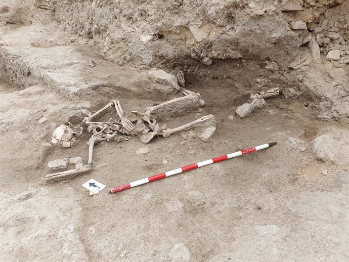 RESULTADO DE LA EXCAVACIÓN ARQUEOLÓGICA DEL CASTELL - EL MUERTO DEL CASTELL -