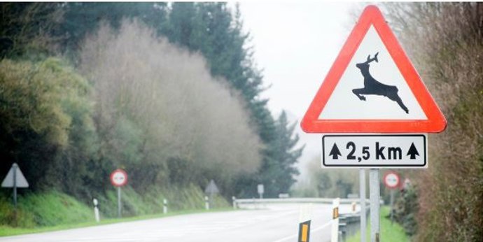 Una señal de tráfico indicando la existencia de animales sueltos.