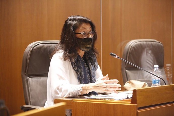 La diputada Loreto Camañes