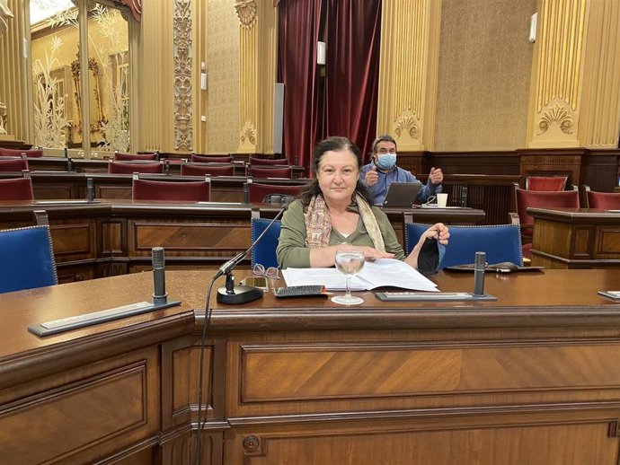 La consellera de Agricultura, Pesca y Alimentación, Mae de la Concha, en el Parlament.