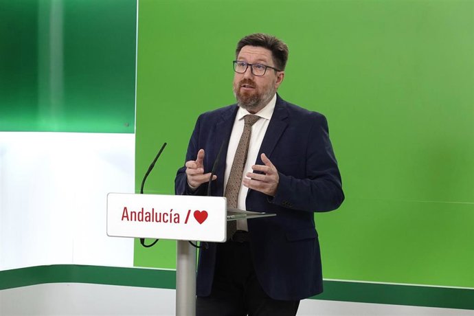 El portavoz adjunto del PSOE-A en el Parlamento andaluz Rodrigo Sánchez Haro comparece de forma telemática en rueda de prensa.