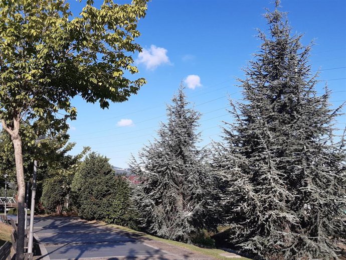 Cielo despejado en Barakaldo, en Bizkaia.