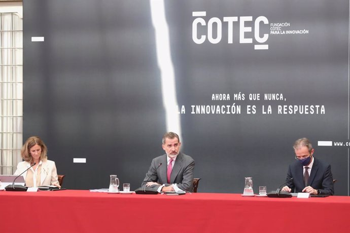 El Rey Felipe VI, en una reunión con el Patronato de la Fundaicón COTEC, en el Palacio Real de El Pardo, a 17 de Noviembre de 2020. CASA REAL