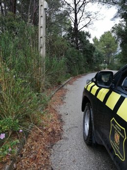 Coronavirus.- Los agentes de Medio Ambiente realizan más de 300 actuaciones durante el estado de alarma