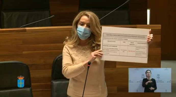 Teresa Mallada en la Junta.