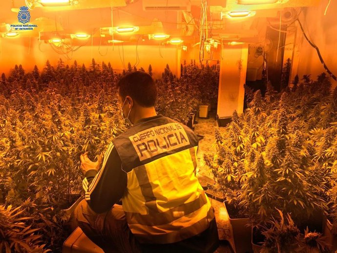 Vídeo de la noticia