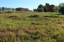 Cesión de una parcela de la UPO para el Ministerio de Justicia