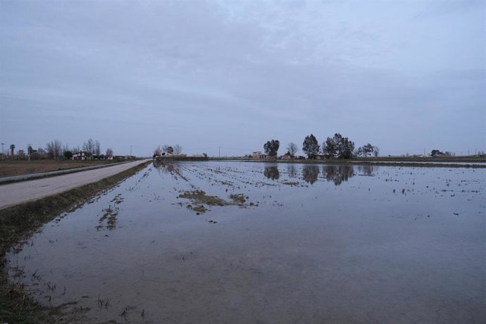 Zona cercana a Riumar (Tarragona), en el Delta del Ebro, inundada por la borrasca 'Gloria', en Riumar/Tarragona/Cataluña (España) a 24 de enero de 2020.