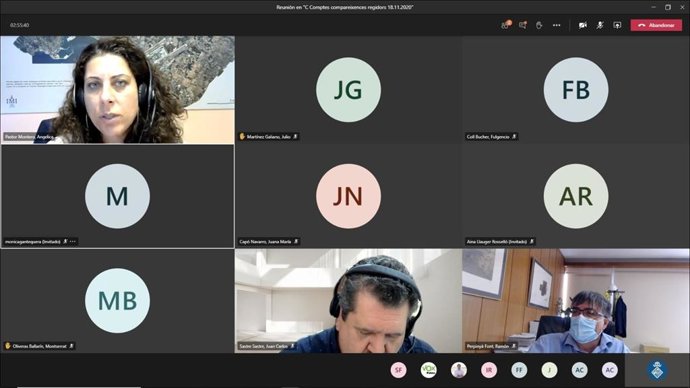 Comparecencias telemáticas de los regidores del Ayuntamiento de Palma.
