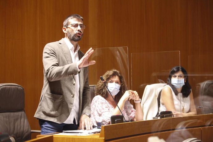 El diputado de IU Aragón, Álvaro Sanz.