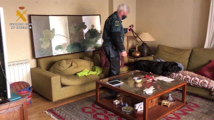 Un perro intenta localizar droga en el piso del detenido en Calahorra