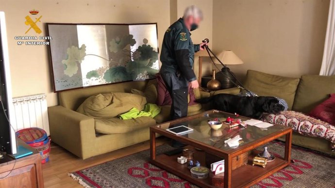 Un perro intenta localizar droga en el piso del detenido en Calahorra
