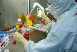 La investigación es fundamental en el abordaje de las enfermedades raras