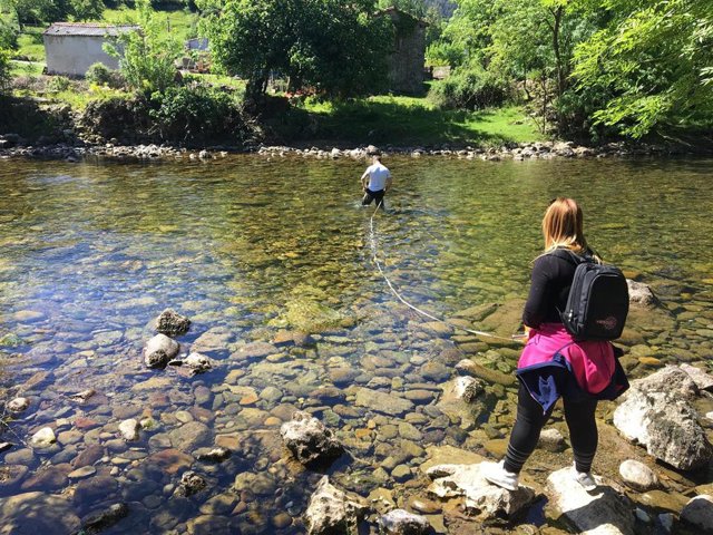 Proyecto río Red Cambera