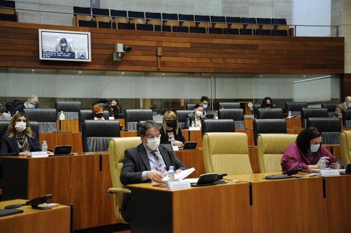 El vicepresidente segundo y consejero de Sanidad y Servicios Sociales de la Junta, José María Vergeles, en el pleno de la Asamblea