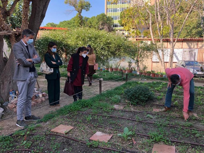 Adecuación del Huerto Urbano La Yuca, en Lagunillas, en el distrito centro de Málaga
