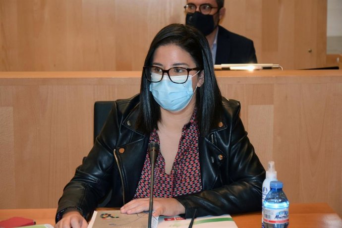La diputada provincial del PSOE Gema Ruiz en un pleno de la institución