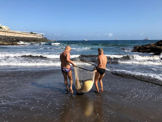 Rescate mantelina en la piscina de La Laja, en Las Palmas de Gran Canaria