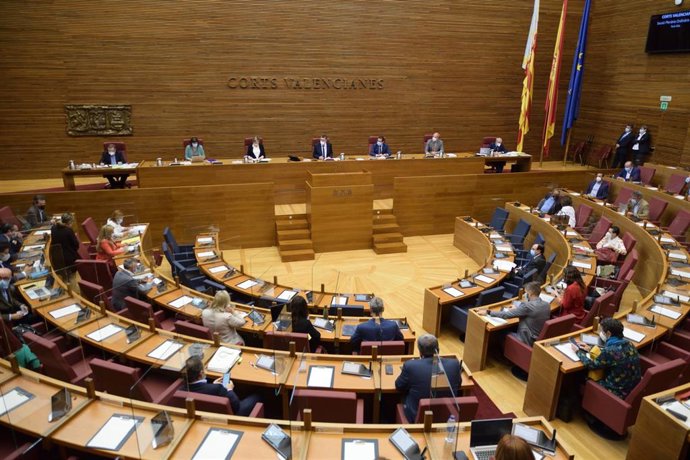 Pleno de Les Corts del 19 de noviembre de 2020