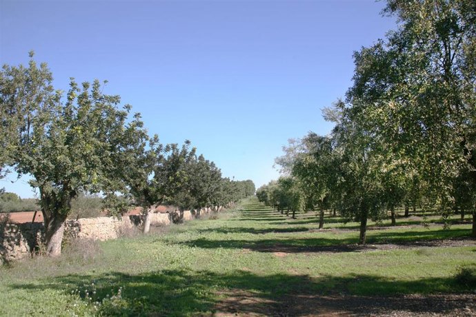 Dotadas con 600.000 euros.