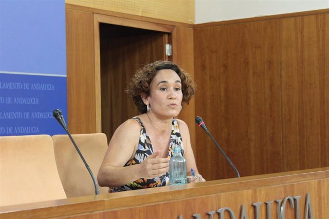 La responsable de las redes de activistas de IU Andalucía, Ana Naranjo, en una foto de archivo