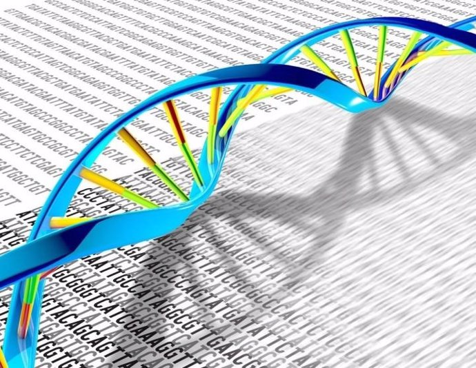 El ADN, que tiene una estructura de doble hélice, puede tener muchas mutaciones y variaciones genéticas.