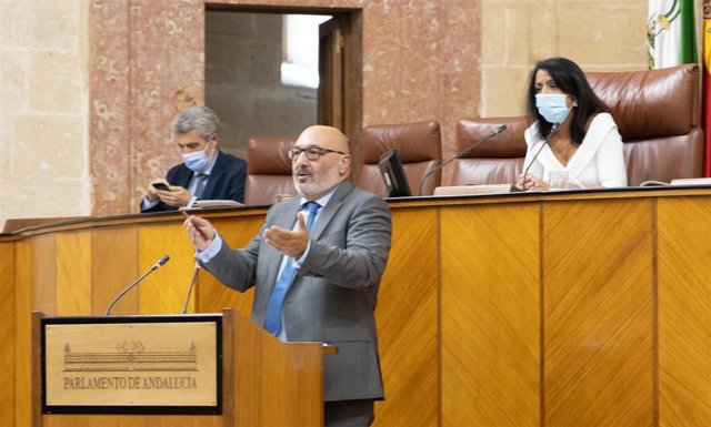 El portavoz parlamentario de Voz, Alejandro Hernández (c) interviene en el Pleno presidido por Marta Bosquet en una imagen de archivo