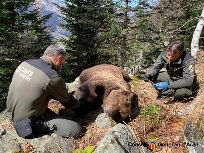 El oso Cachou junto a dos agentes del Miei Ambient