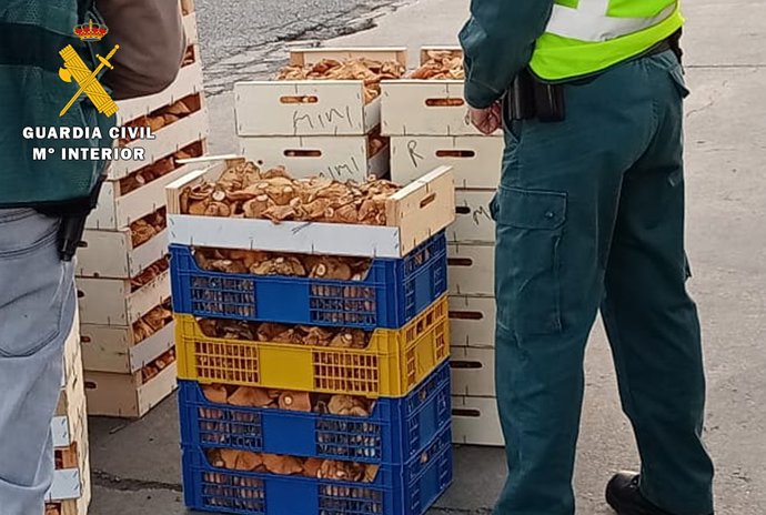 Nota De Prensa. Guardia Civil Burgos Y Soria