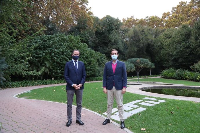 El Ayuntamiento De Málaga Informa: Ayuntamiento Y Bandas Musicales De Málaga Acercan La Música A Los Jóvenes Con El Ciclo De Conciertos Online La Banda Sonora De Mi Ciudad