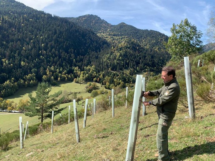 Un técnico prepara la plantación de frutales