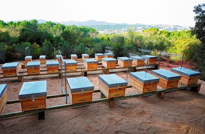 Colmenar en el cementerio Roques Blanques