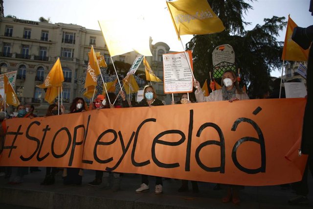 Convocados por la Plataforma Más Plurales, colectivos de la educación concertada se manifiestan contra la ‘Ley Celaá’ en el Congreso, el día de su aprobación, en Madrid (España), a 19 de noviembre de 2020.   