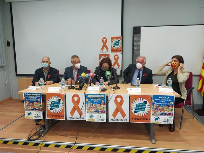 Sector de la enseñanza concertada se manifesta este domingo en contra de la Ley Celaá en las tres capitales de provincia.