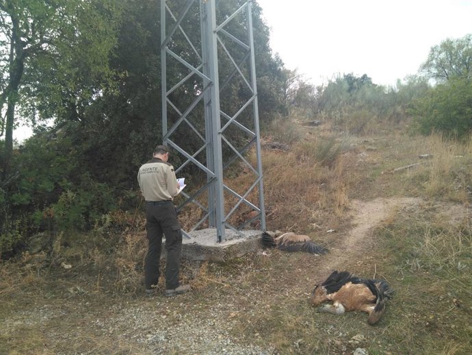 Agentes de medio ambiente detectan en Granada puntos peligrosos en tendidos eléctricos para las aves