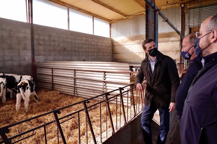 Pablo Casado, presidente del PP, visitando una explotación ganadera en Alcarrás (Lleida)