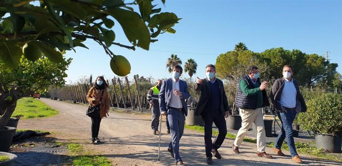 [Sevilla] Nota De Prensa. Parques Y Jardines
