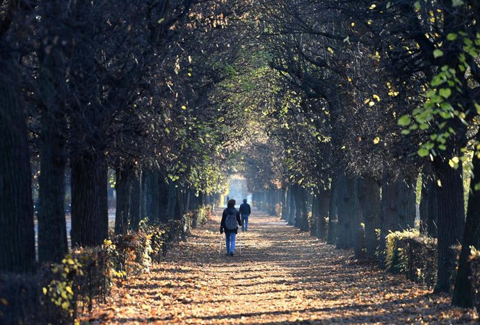 18 November 2020, Austria, Vienna: People walk along the nearly empty pathway at the park of the Schoenbrunn Palace as Austria re-enters lockdown amid a surge in the number of people diagnosed with coronavirus. Photo: Helmut Fohringer/APA/dpa